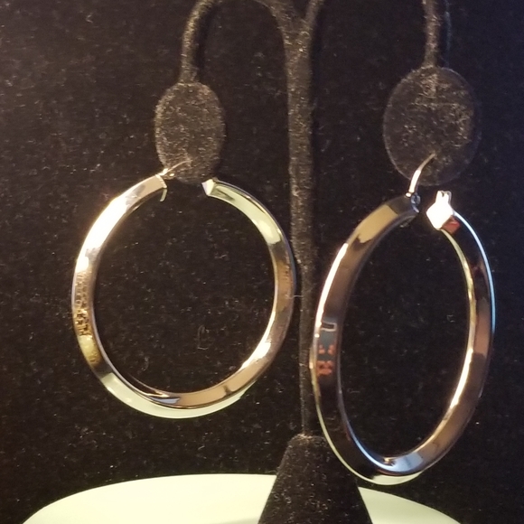 Stainless Steel Hoop Earrings - Picture 2 of 4